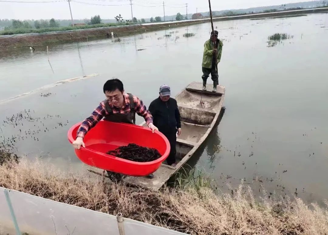 致富龙虾养殖小视频大全_致富经养殖小龙虾_致富经龙虾养殖