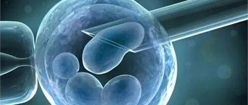 全球干细胞产业发展格局纵览，国内18个干细胞新药获批IND