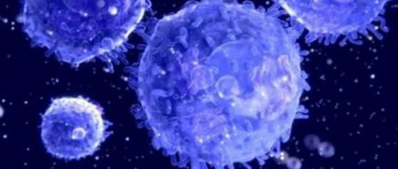 从T细胞看免疫衰老 - 人老后免疫存货不足已是不争的事实