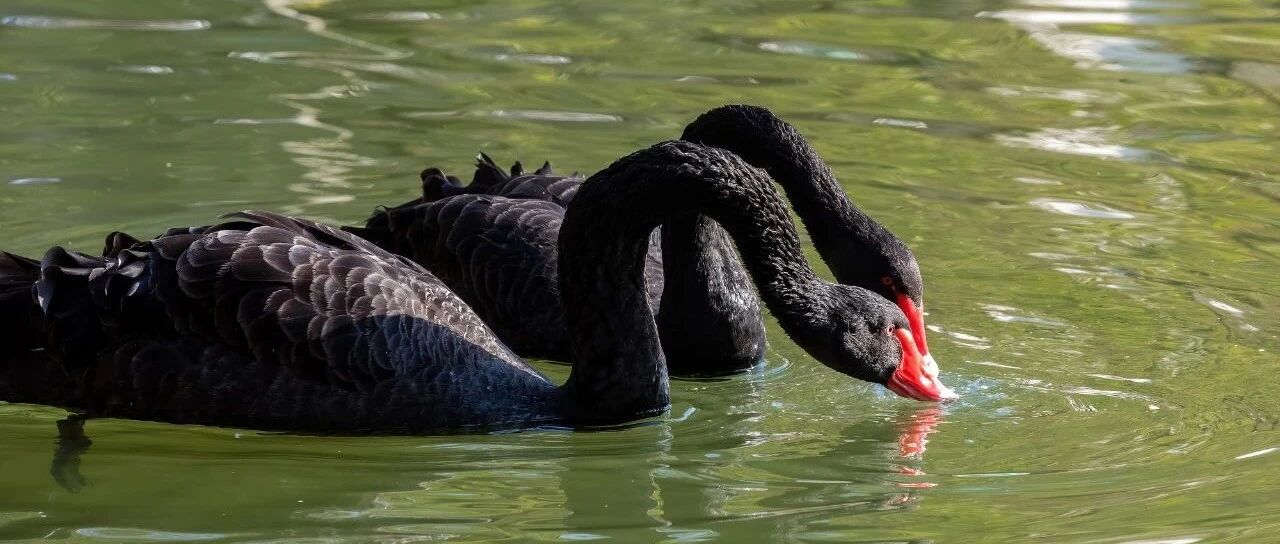突然暴雷！700亿上海国企或损失83亿净利，牵出一堆大集团