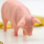 生猪价格跌破一斤10元：养猪盈利大缩水，有养殖户养一头猪亏50元