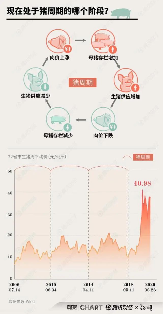 豬價下降空間多大？中國豬肉消費僅6.5億頭，在建規模卻達20億頭 財經 第3張