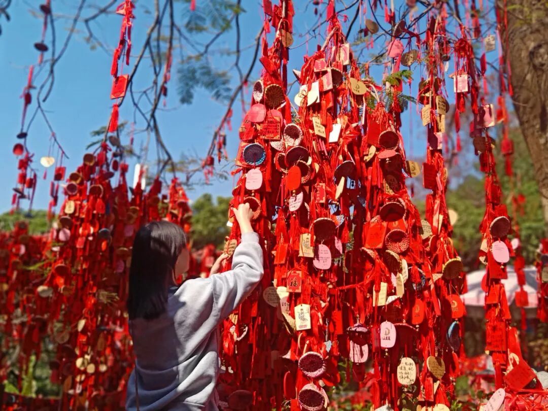 深圳脱单活动凤凰山森林公园游玩新春祈福