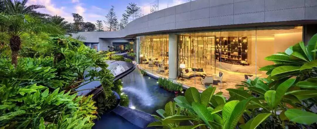 绿化行业存在的问题，你有同感吗？