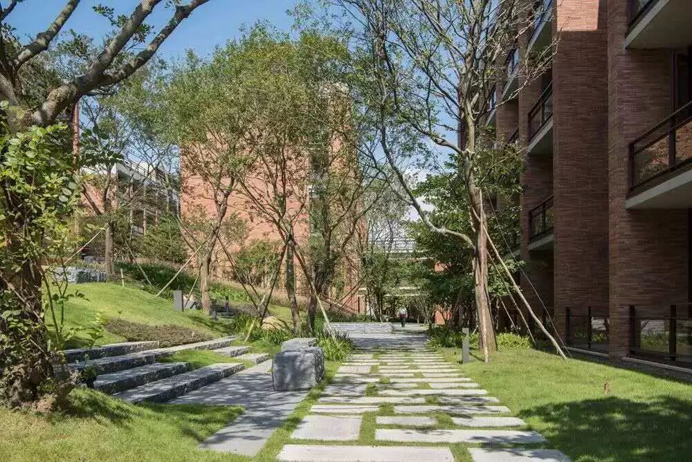 绿化行业存在的问题，你有同感吗？