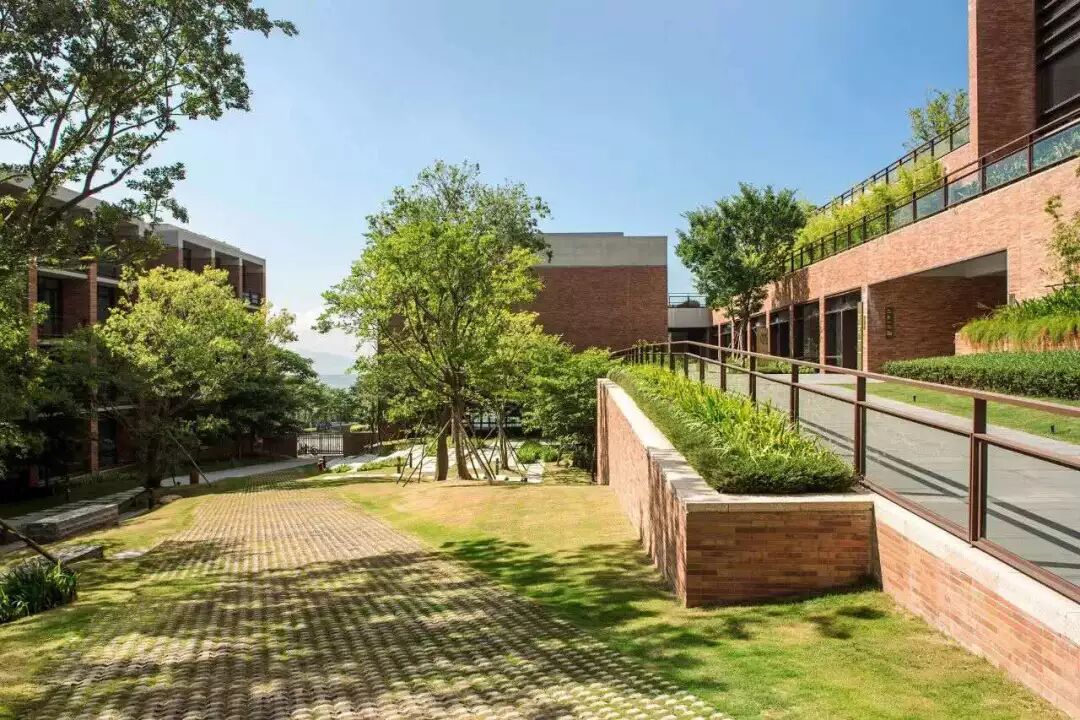 绿化行业存在的问题，你有同感吗？