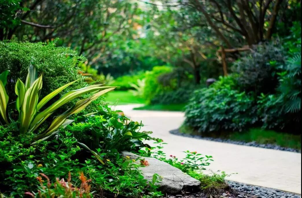 绿化行业存在的问题，你有同感吗？