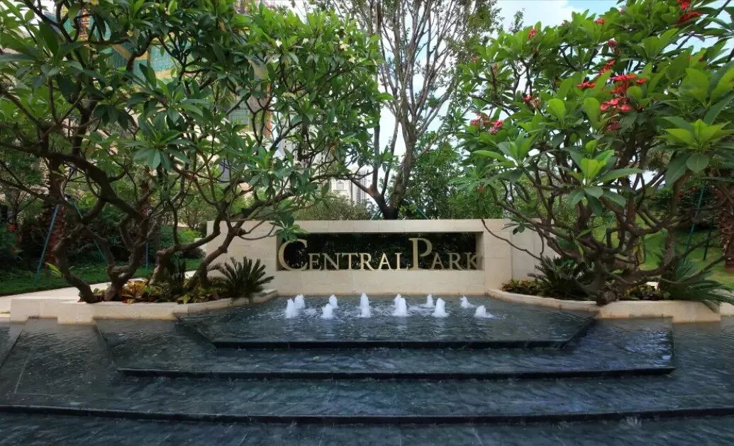 绿化行业存在的问题，你有同感吗？