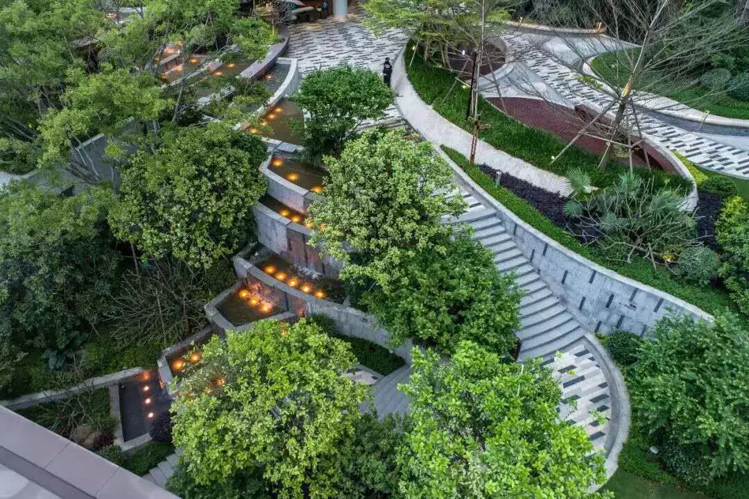 绿化行业存在的问题，你有同感吗？