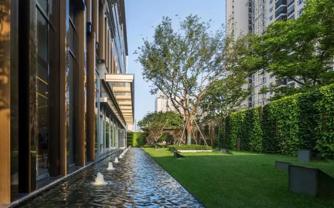 绿化行业存在的问题，你有同感吗？