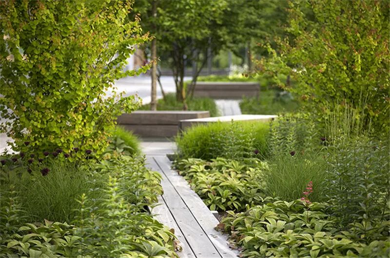 绿化行业存在的问题，你有同感吗？