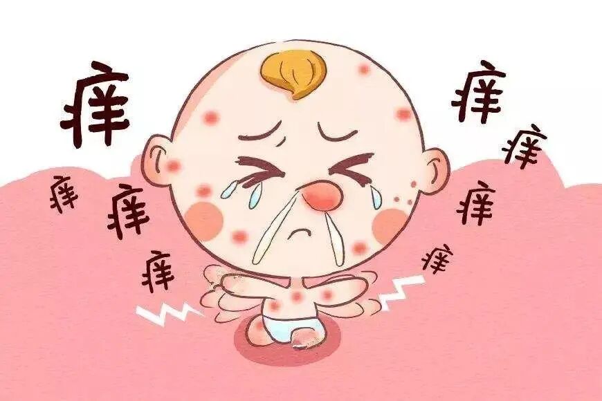 {"type":"load_by_key","key":"banner_image_0","image_type":"search"}