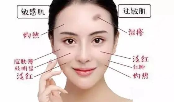 {"type":"load_by_key","key":"banner_image_0","image_type":"search"}