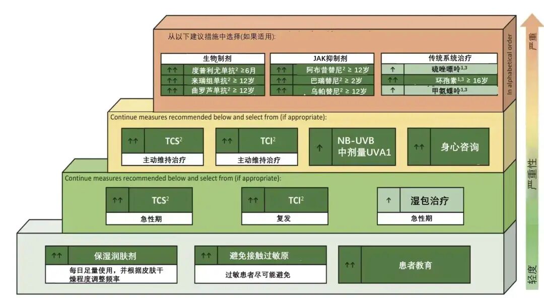 特应性皮炎分级治疗