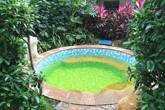 【元旦专场】从化望谷公寓~泡私家温泉~送自助早餐 免费使用健身房