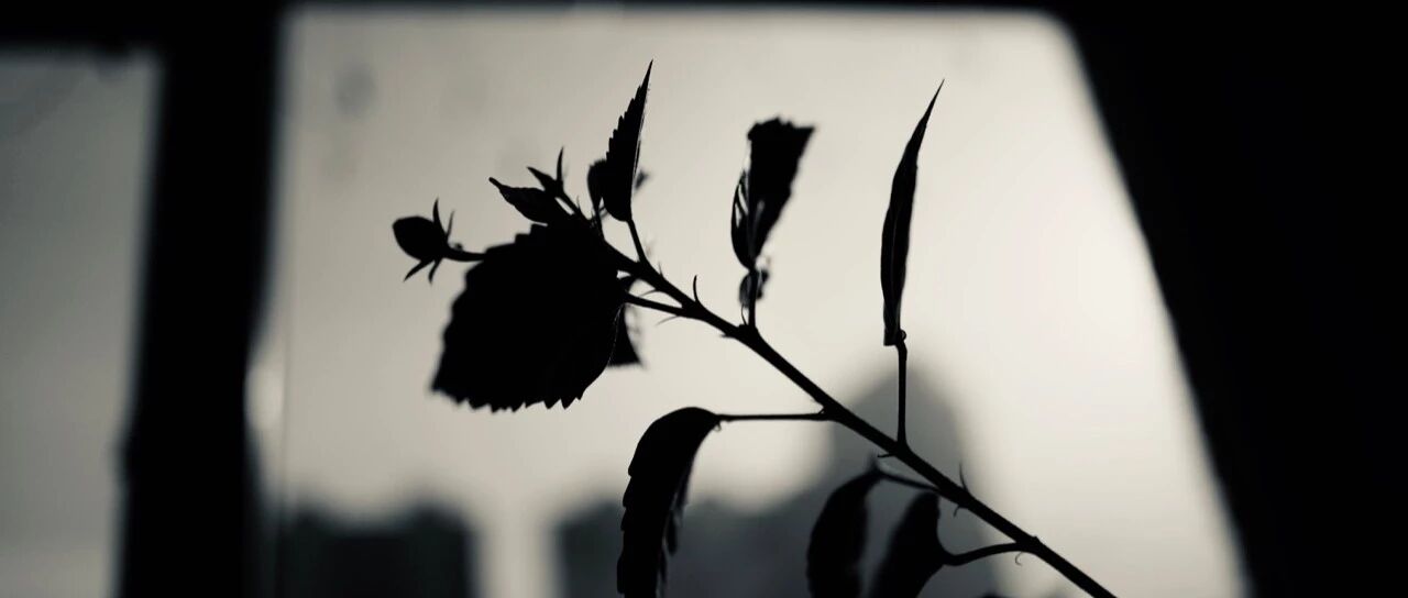 牛叉程序员的 9 种素质