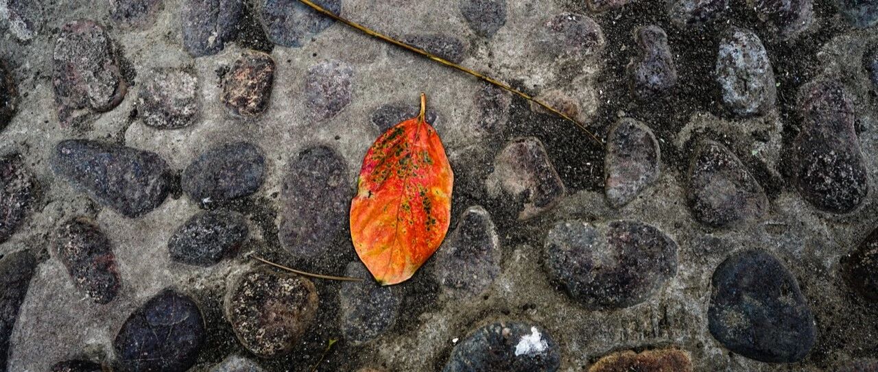 周末视点：失业是好事