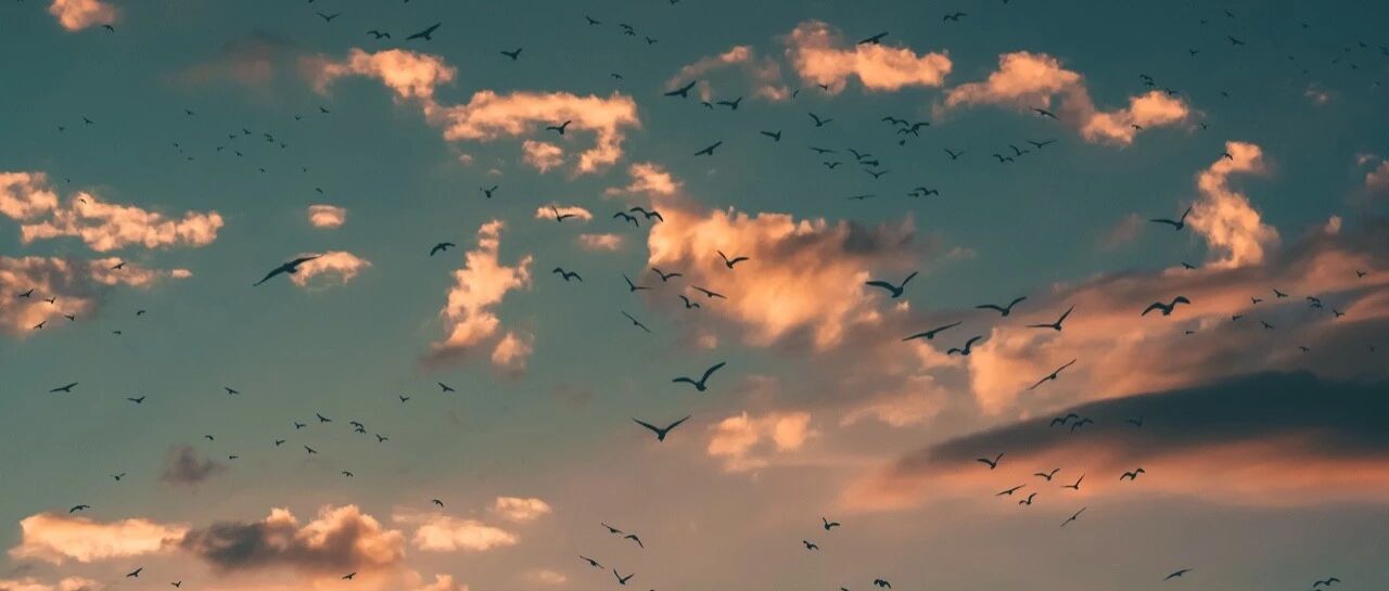 好物推荐：一支神奇的笔