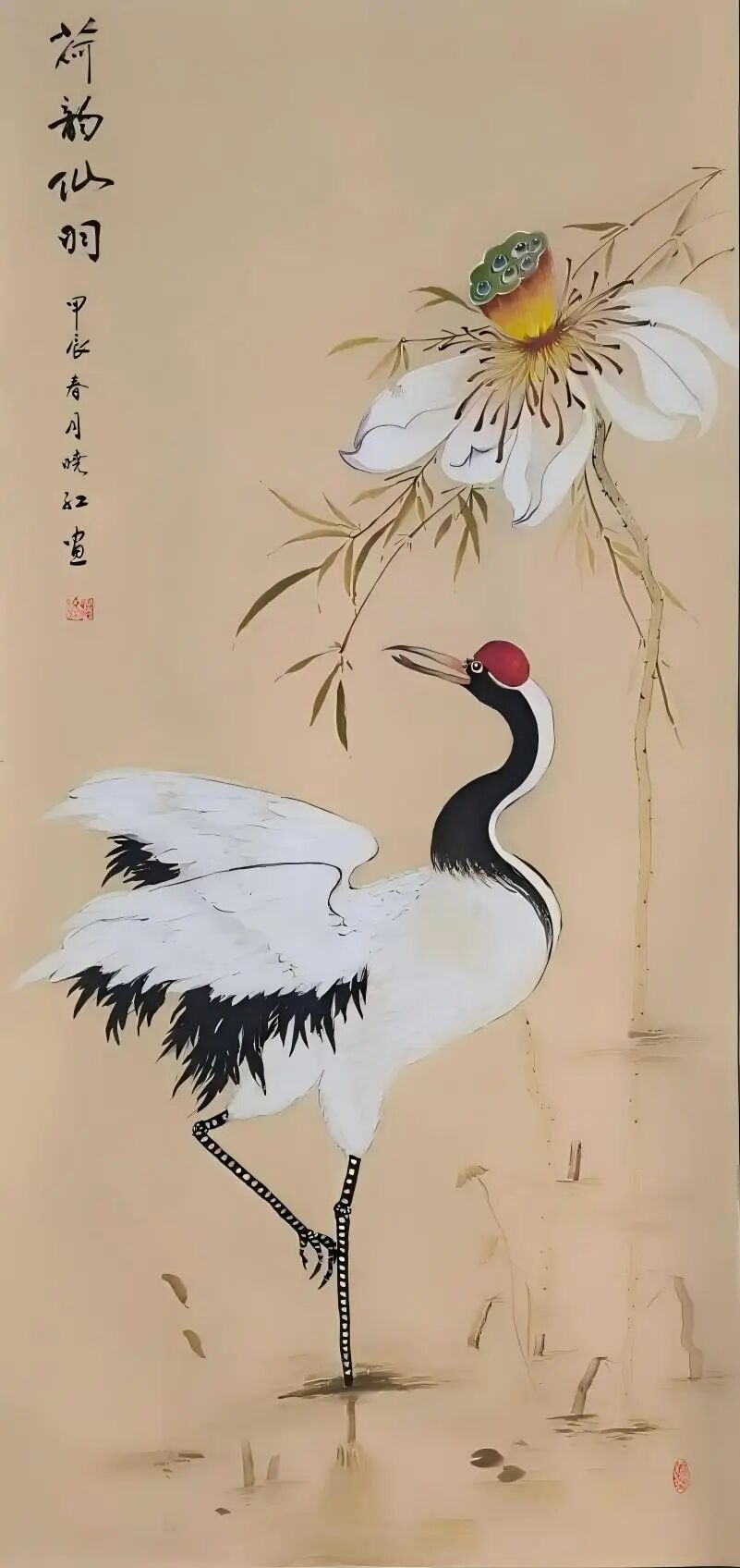 图片