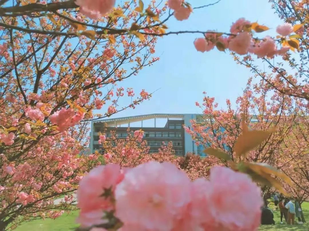 南华大学地址_南华大学地址雨母校区_南华大学地址邮编