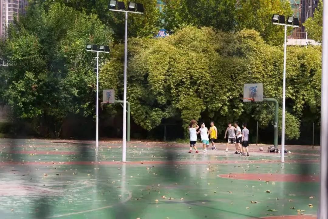 南華大學地址雨母校區(qū)_南華大學地址_南華大學地址郵編