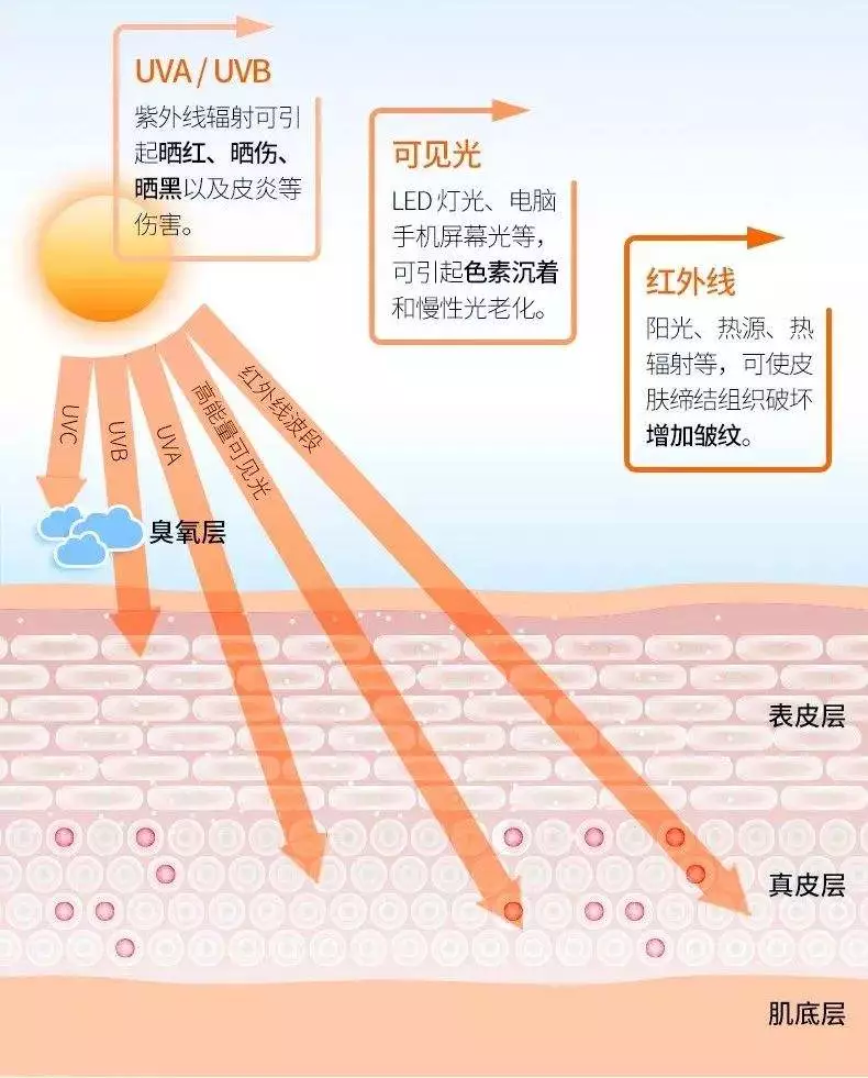 研 究 | 日 光 照 射 對 女 性 面 部 皮 膚 老 化 的 影 響 研 究 | 日 光 照 射 對 女 性 面 部 皮 膚 老 化 的 影 響
