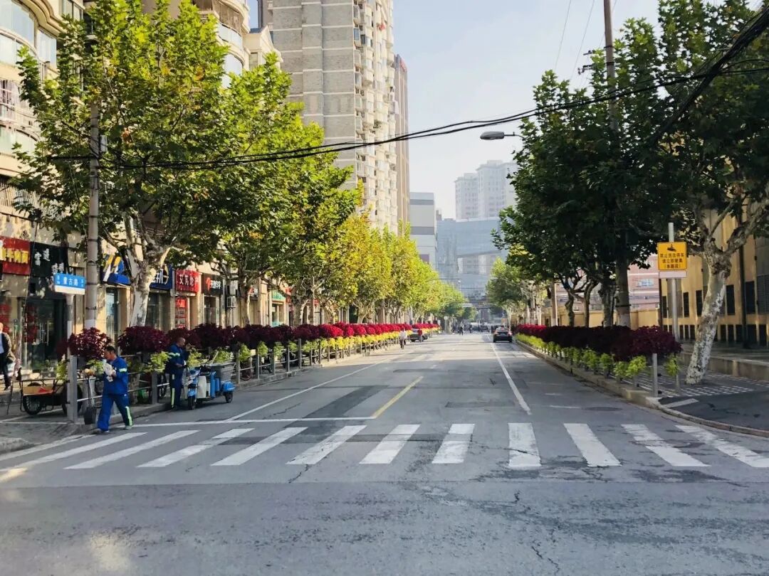 这些绿色街景,越来越美