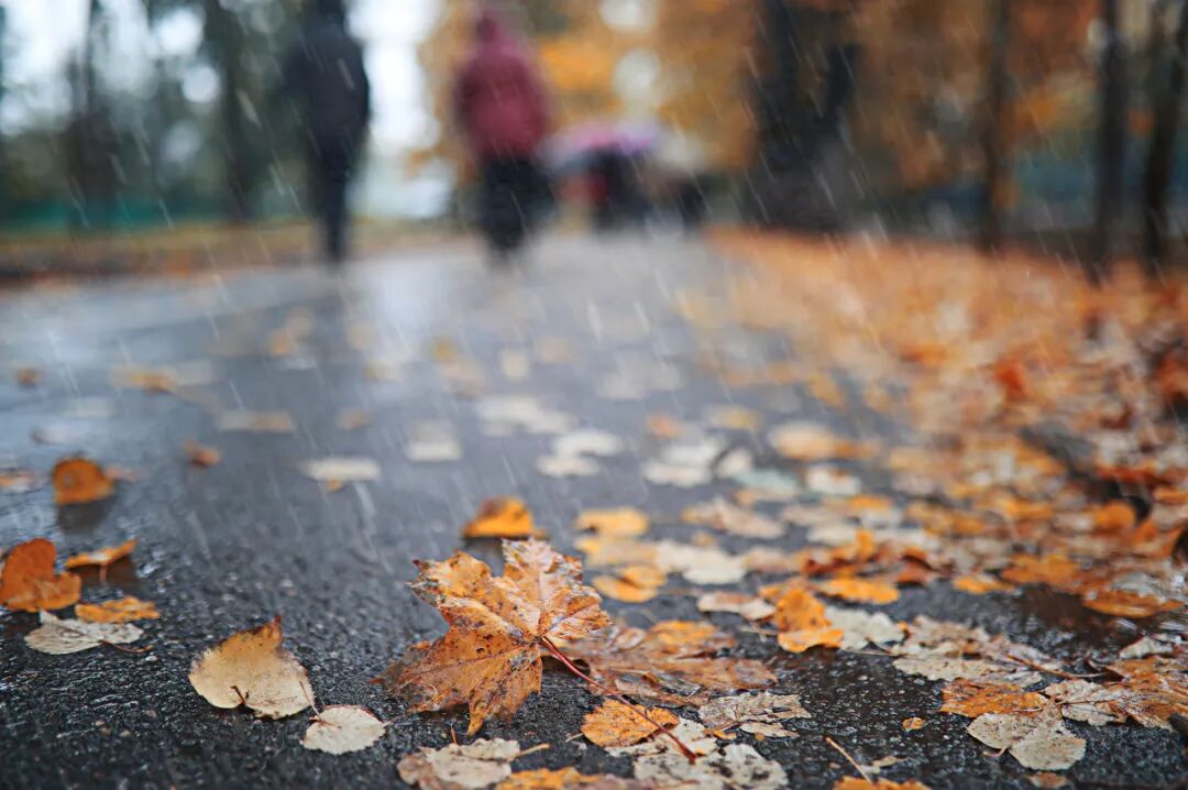 一连串阴雨天气将至,开启"湿冷"魔法