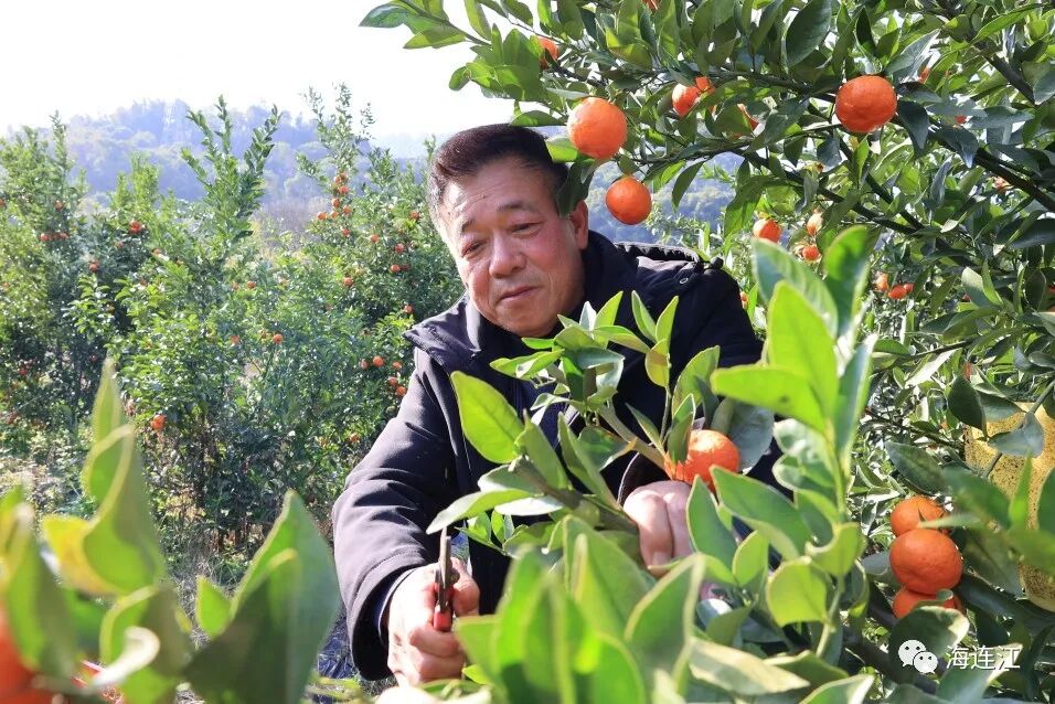 30.79公里！连江这条铁路有了新进展！