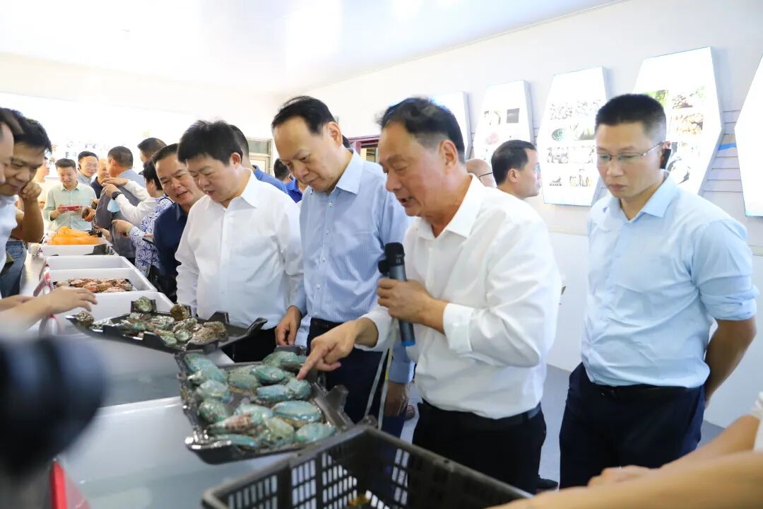 上海特色场地_福州特色场地_上海特色年会场地