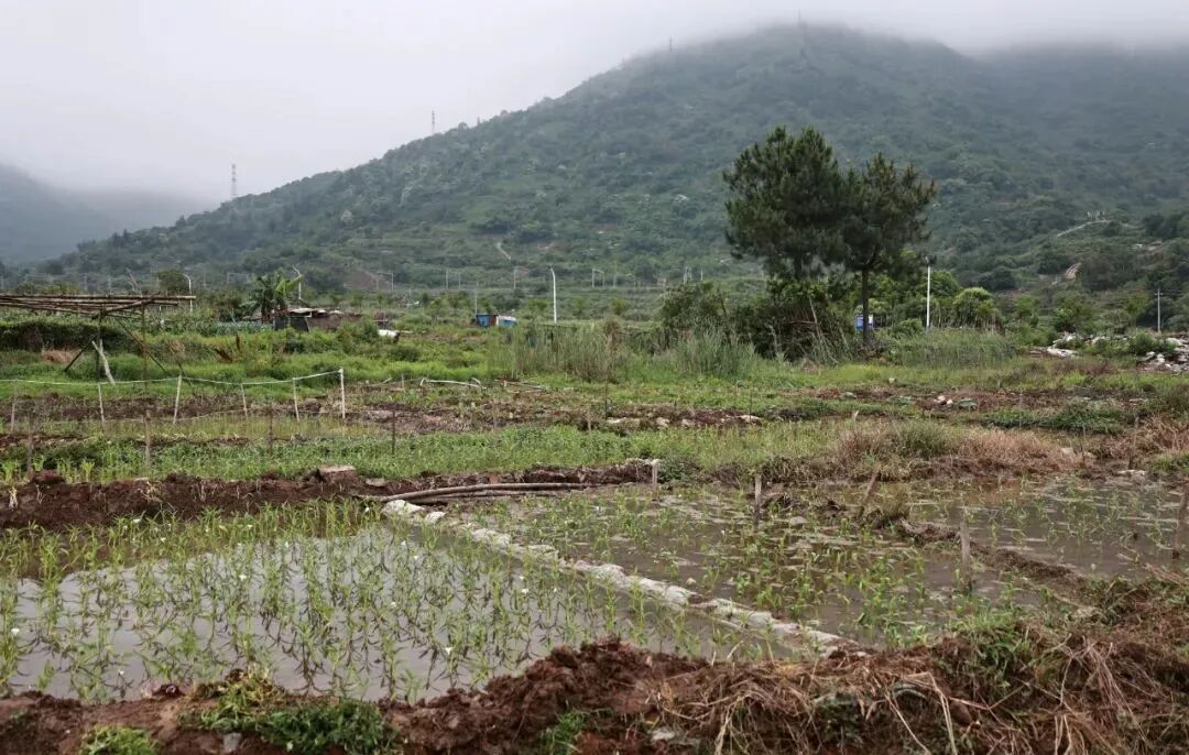 重拳出击！连江拆违治乱“不手软”