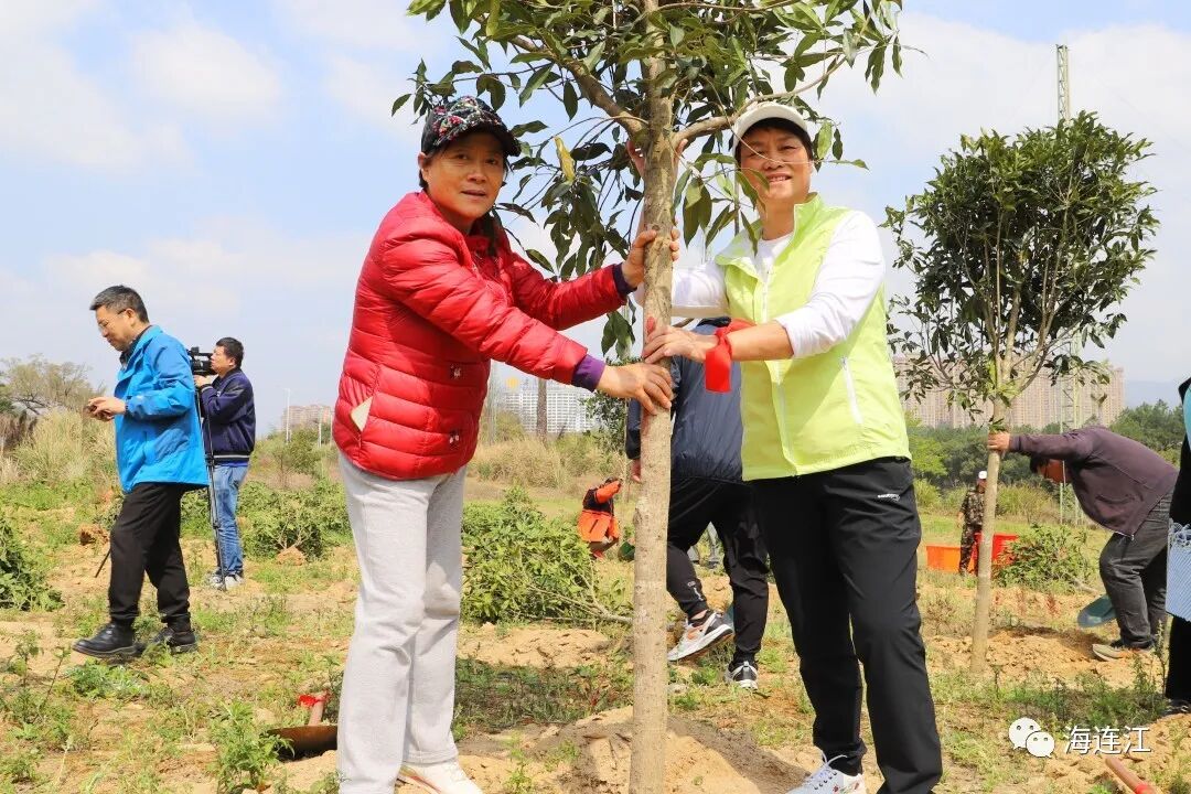 今天，连江新添一片“丹桂林”！