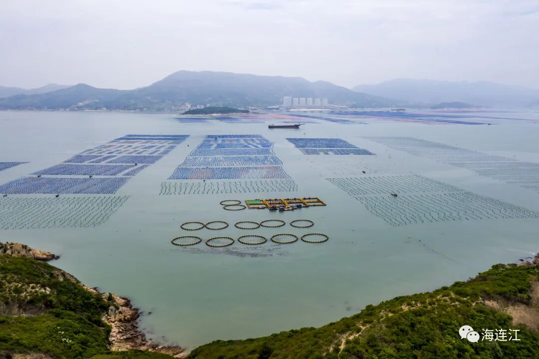 禁渔期！连江没海鲜吃？不存在！