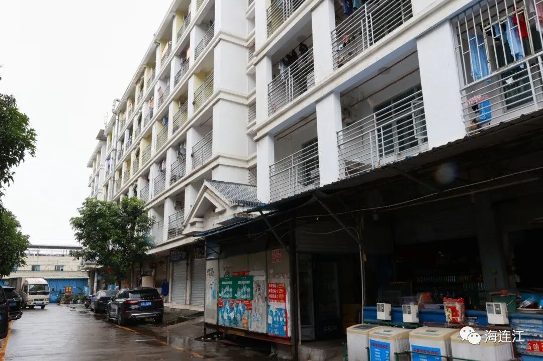 高双成率队严查！