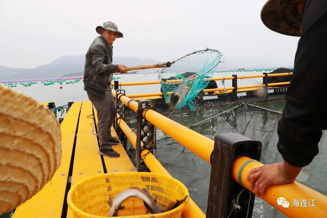 禁渔期！连江没海鲜吃？不存在！