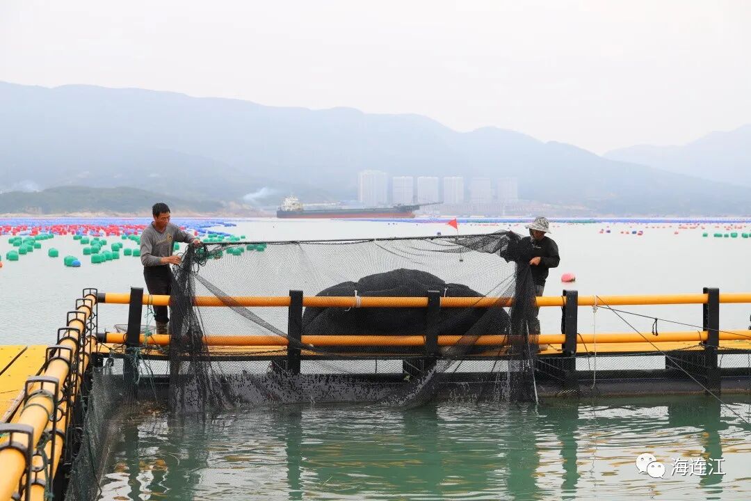 禁渔期！连江没海鲜吃？不存在！