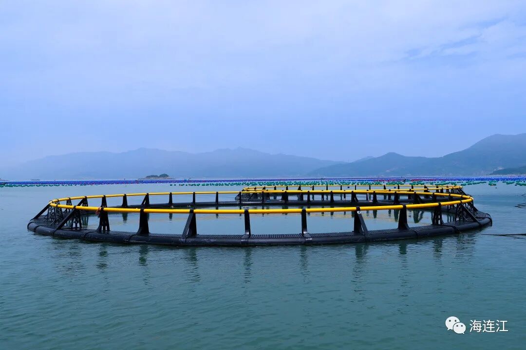 禁渔期！连江没海鲜吃？不存在！