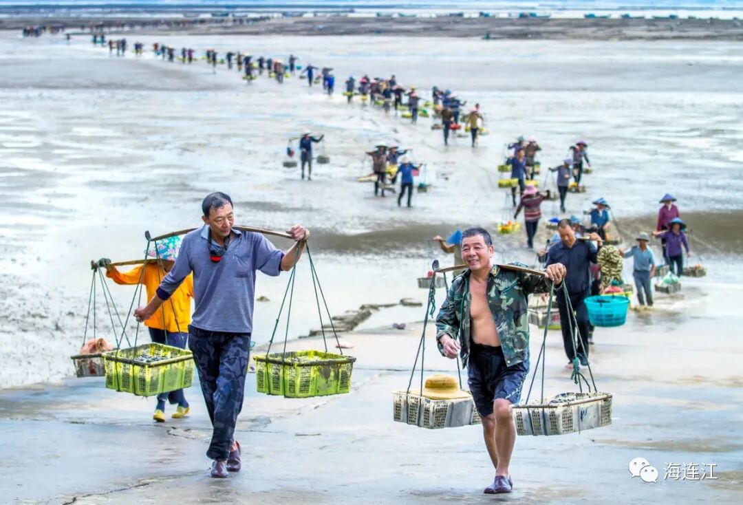 厉害！连江这里的“嘎星人”能产“金蛋”！