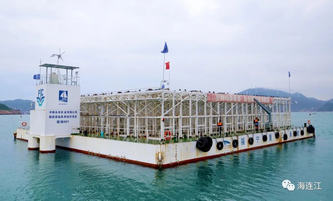 15万笼！连江鲍鱼回家过年了！