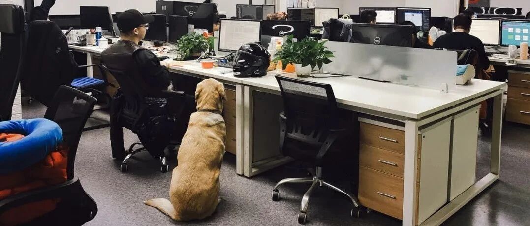 为视障玩家做游戏的人丨触乐