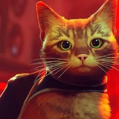 周末玩什么：猫猫大危机！猫猫大冒险！
