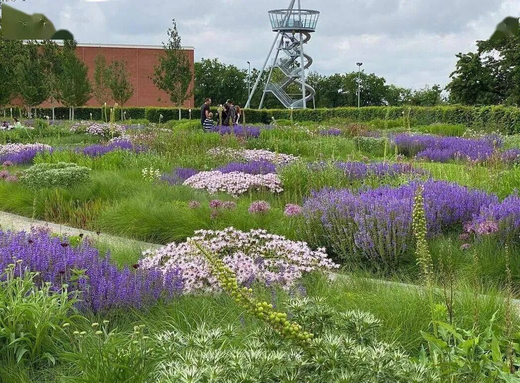 感受荒野之美自然主义花园赏析