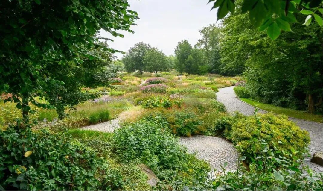 感受荒野之美自然主义花园赏析