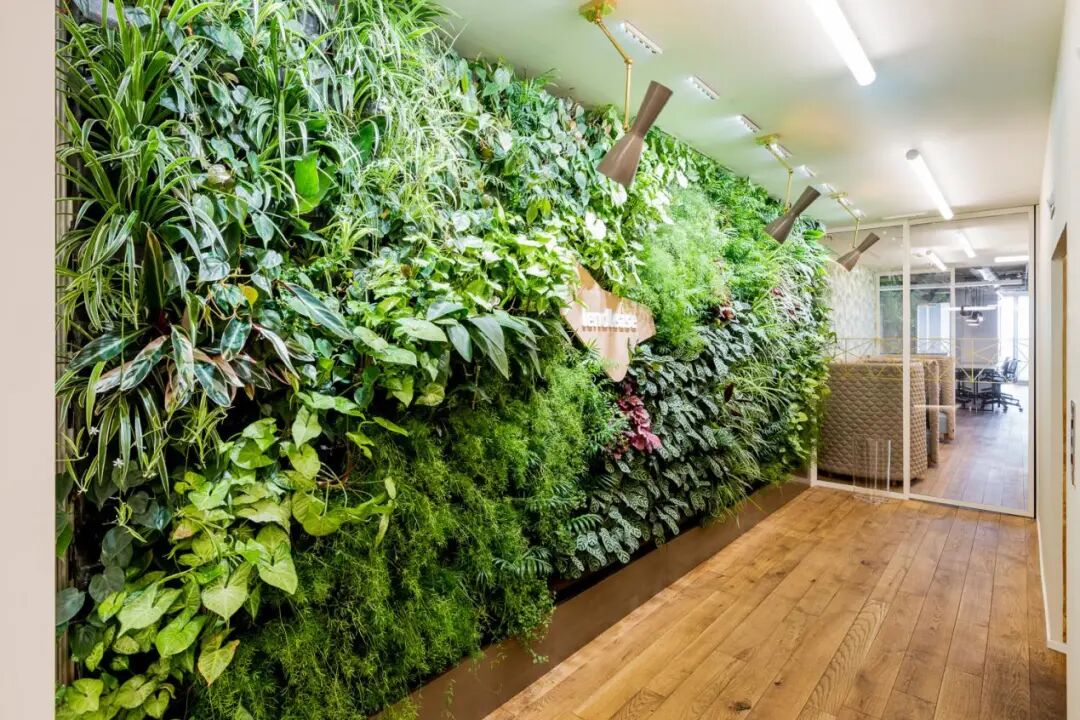 提升室内环境的生态绿植墙 - 华禹环境官网