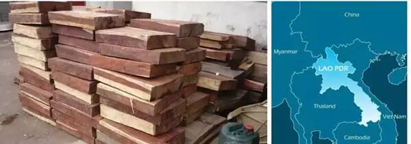 红木收藏“钱景”如何？