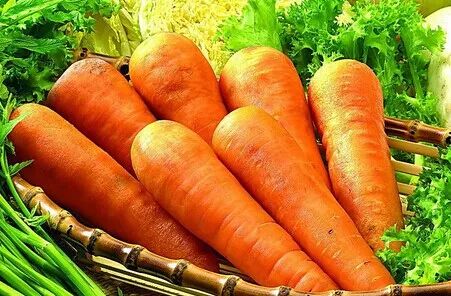 维生素对头发有多重要?