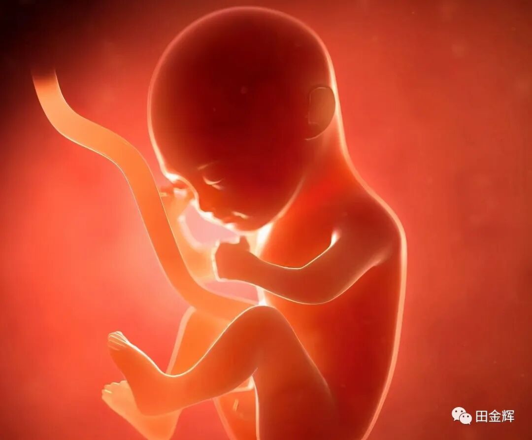 为什么剪脐带要先夹住【孕校素材】新生儿出生后抓住剪子不松手，被抢走后放声大哭，剪脐带会痛吗？_https://www.jmylbn.com_新闻资讯_第6张