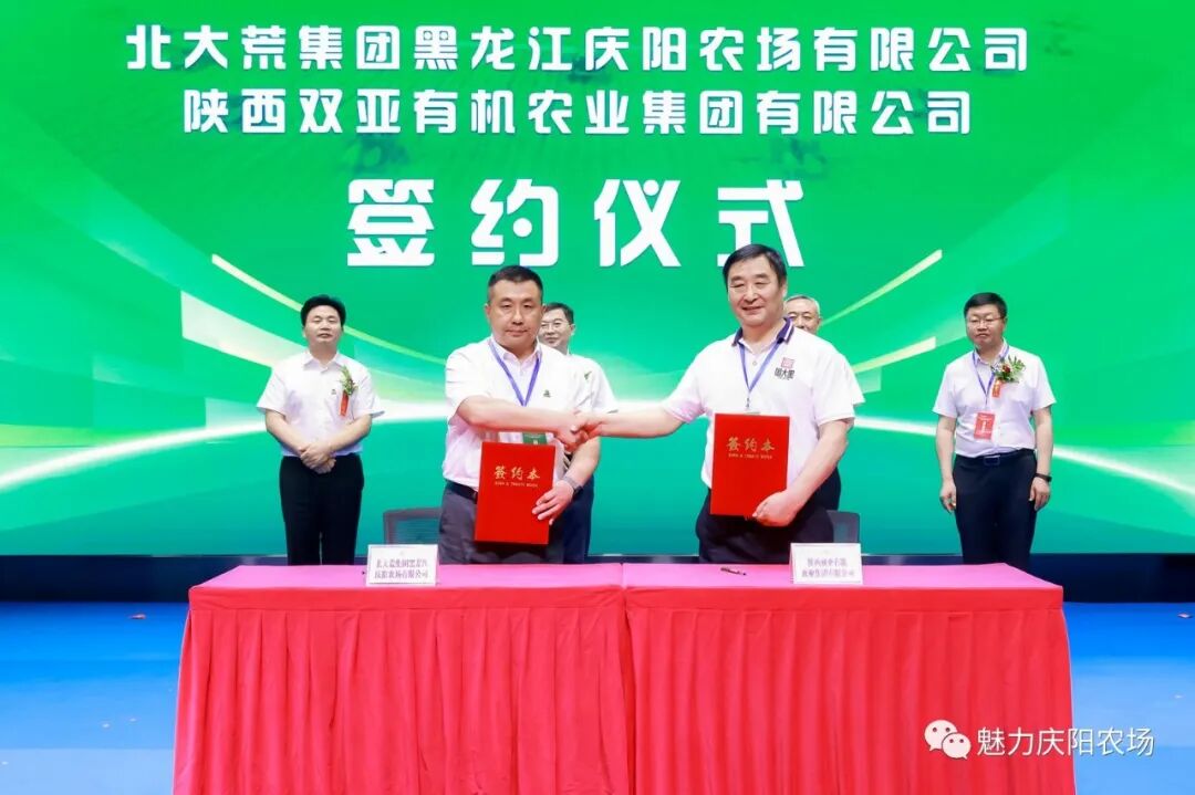 一粒黑米打开产业振兴新"稻"路 庆阳农场承办2023年黑稻产业推介会