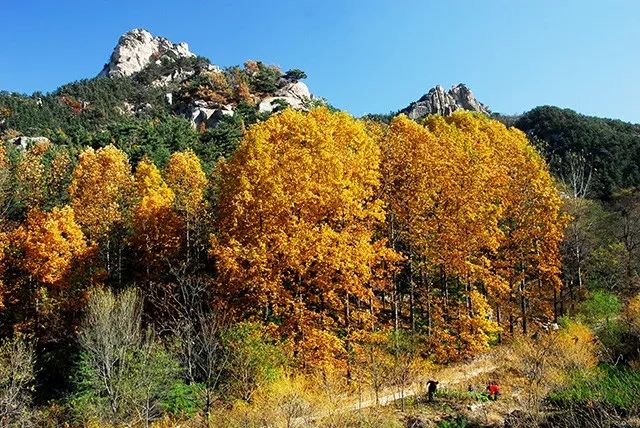 【神話風物】計搬虎山水，滴水剩虎山（4） 靈異 第4張